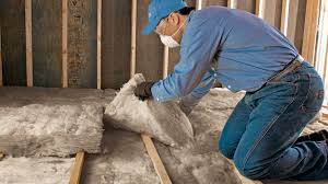 Best Crawl Space Insulation  in Island Lake, IL